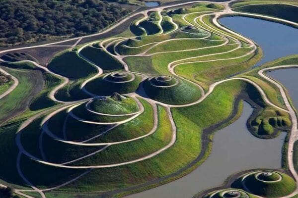 The Garden of Cosmic Speculation