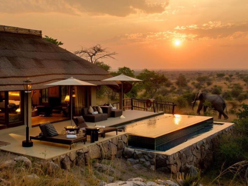 Exotic Safari Lodges
