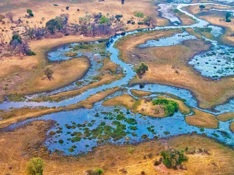the Okavango Delta
